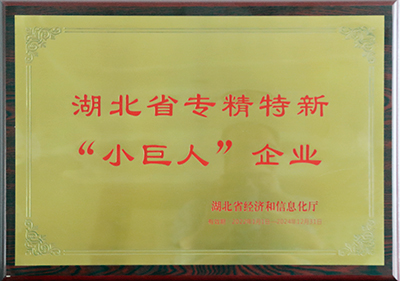 省專精特新小巨人.jpg